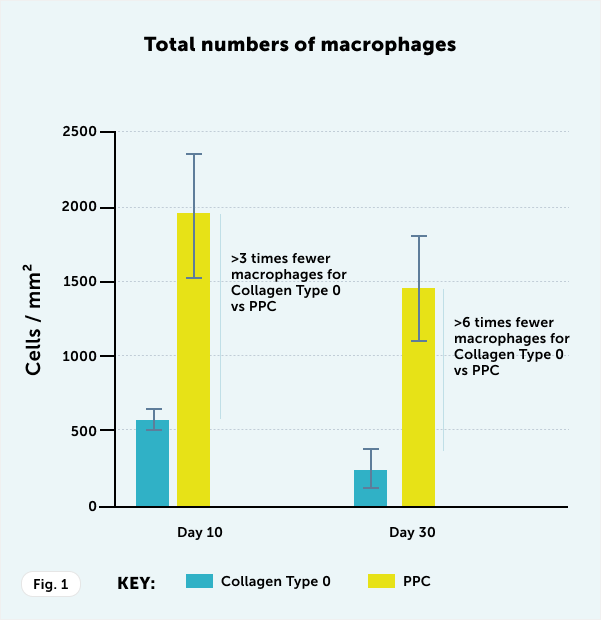 Fig 1 Total numbers of macrophages
