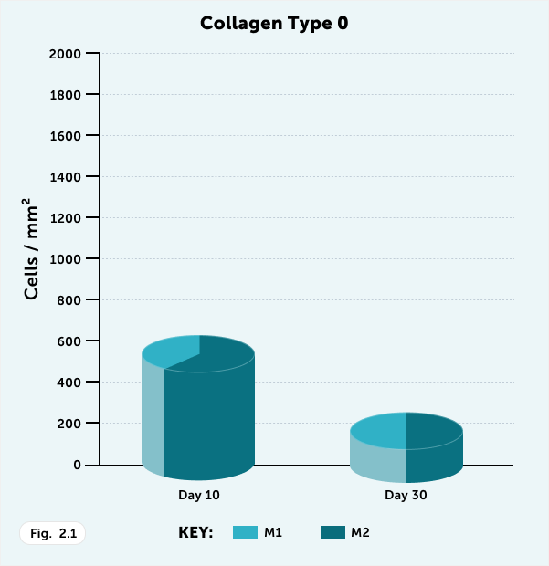 Fig 1 Collagen Type 0