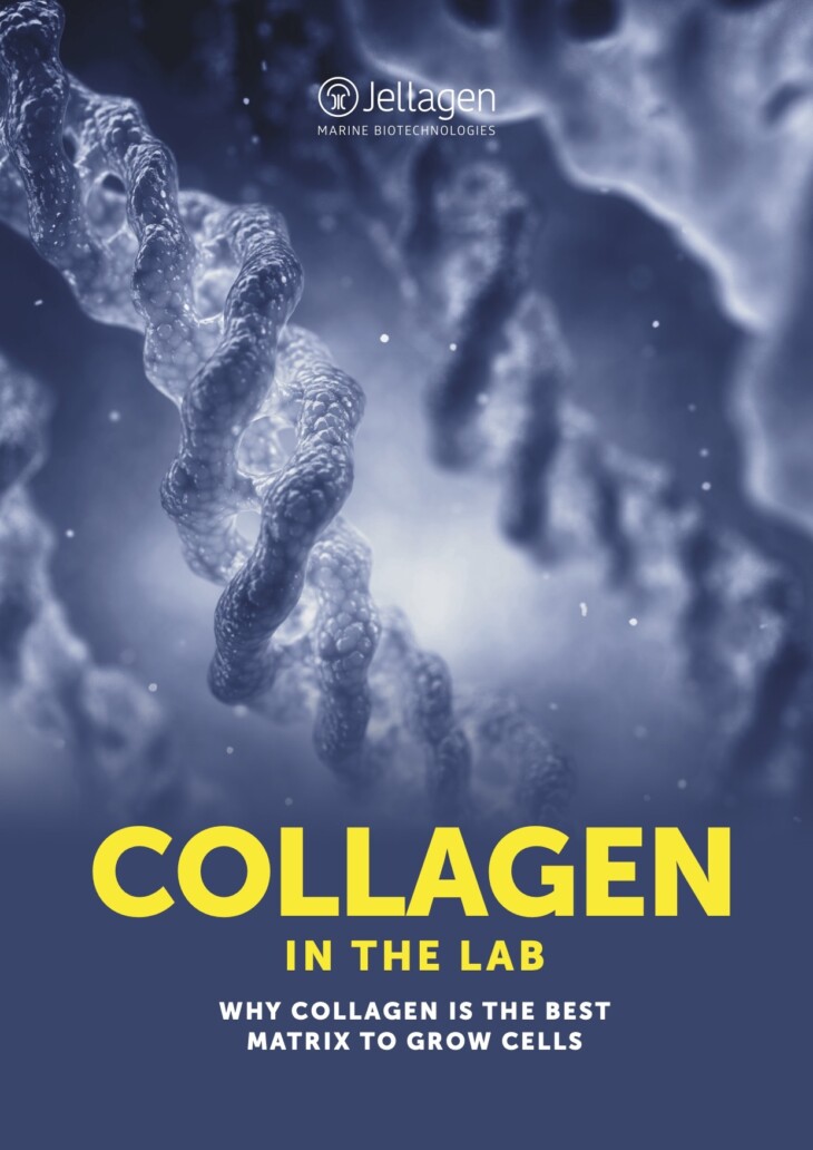 Jellagen Collagen In The Lab Whitepaper