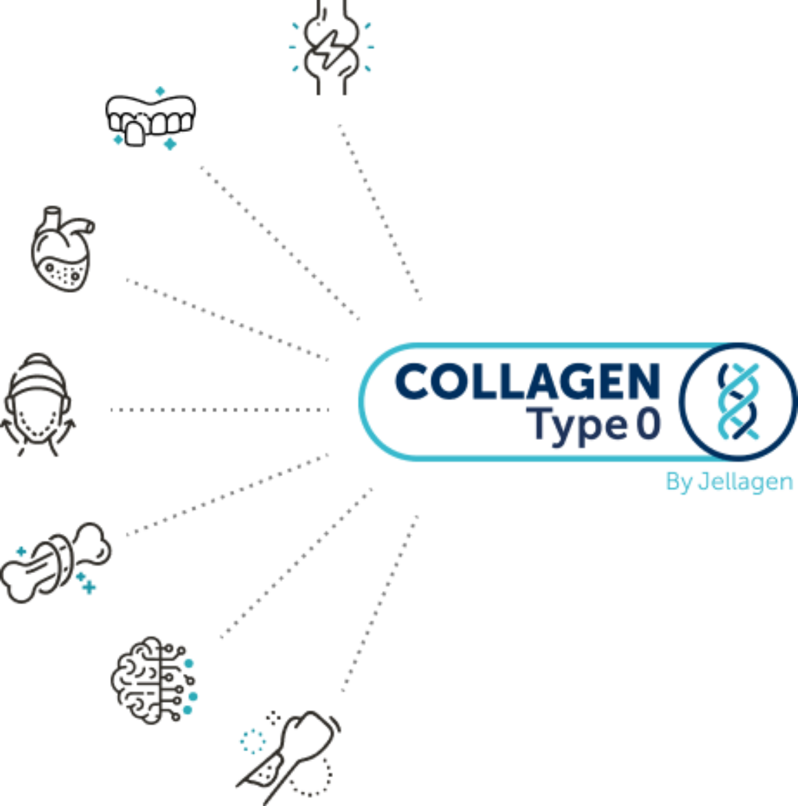 Collagen Type 0 Graphic